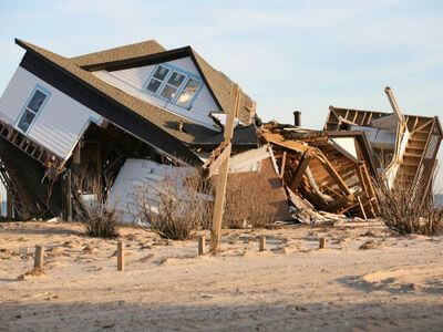 Professional black mold removal services in Coral Springs